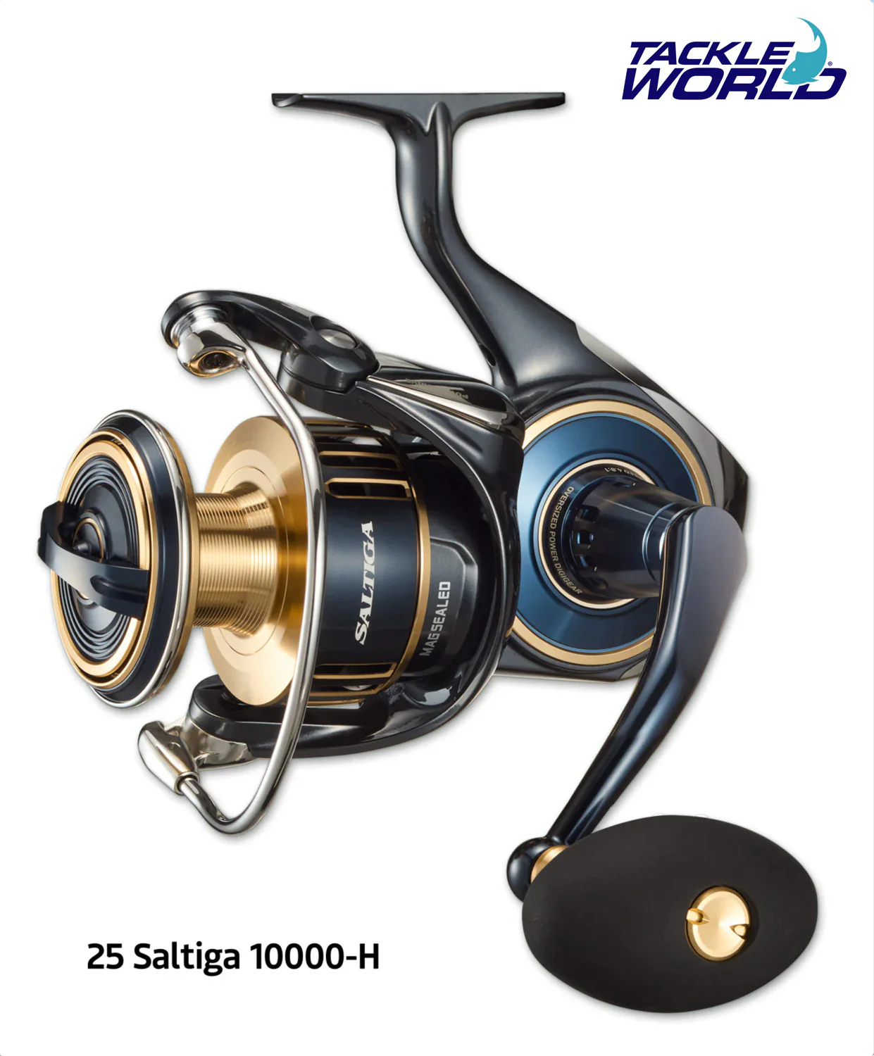 25 Saltiga - Image 4