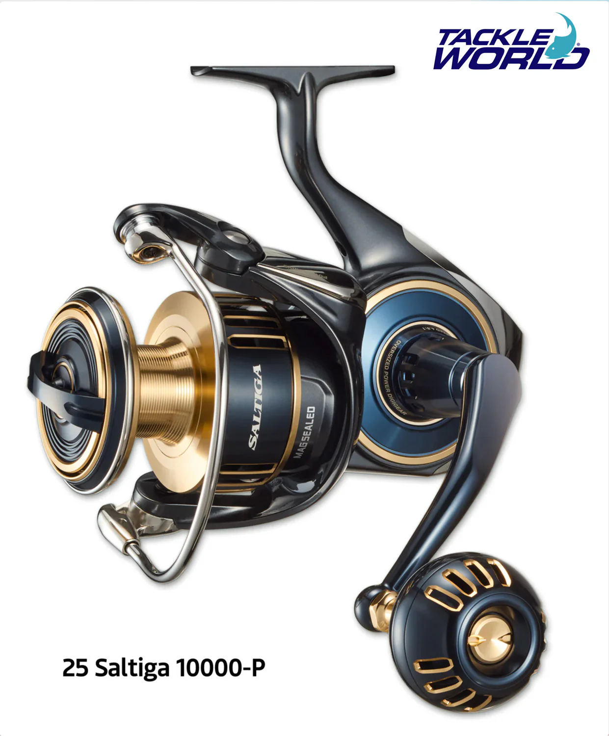 25 Saltiga - Image 5