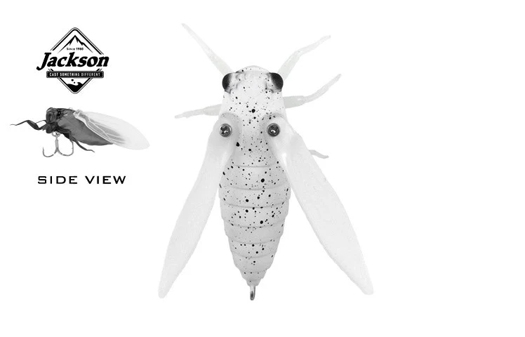 Jackson Namazemi Lures - Image 5