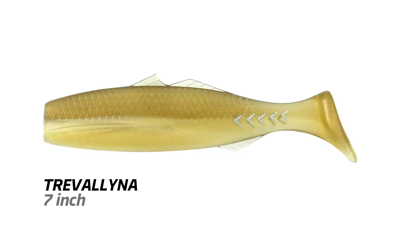 Jackson Trevallyna 4 inch Soft Plastics - Image 9