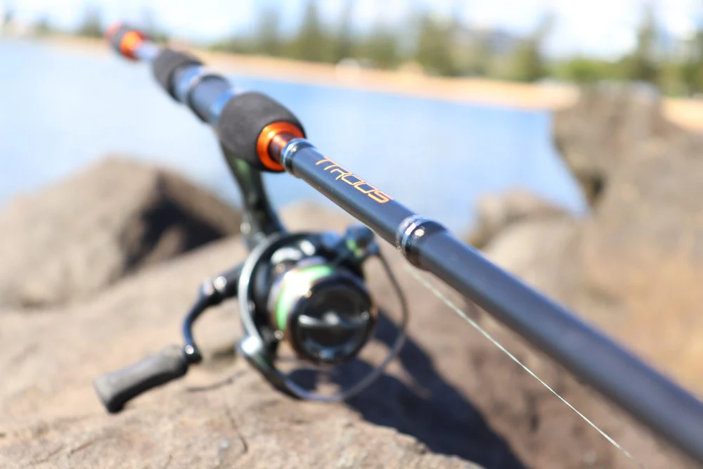 TT Copper Head Spin Fishing Rods - Image 3